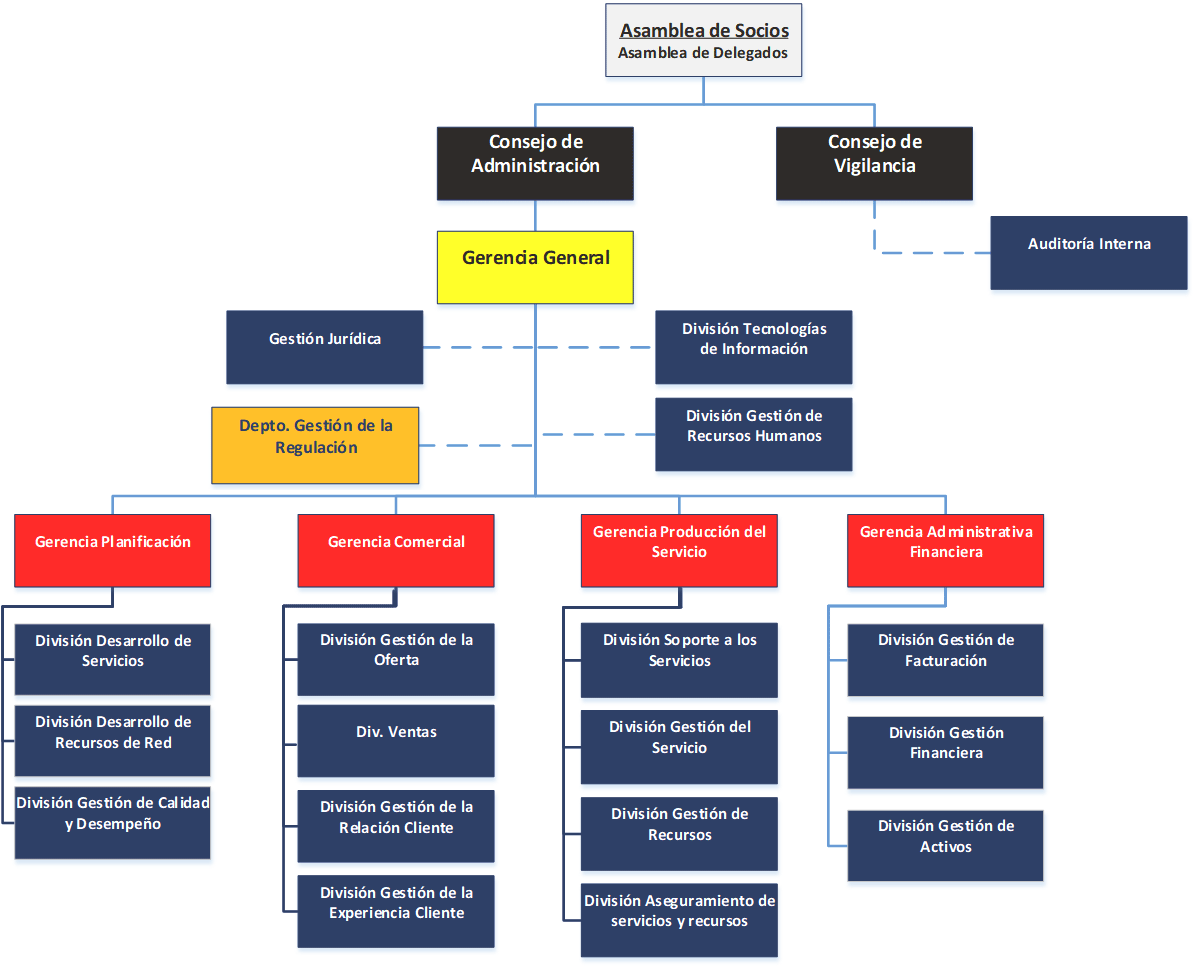 Estructura Organica